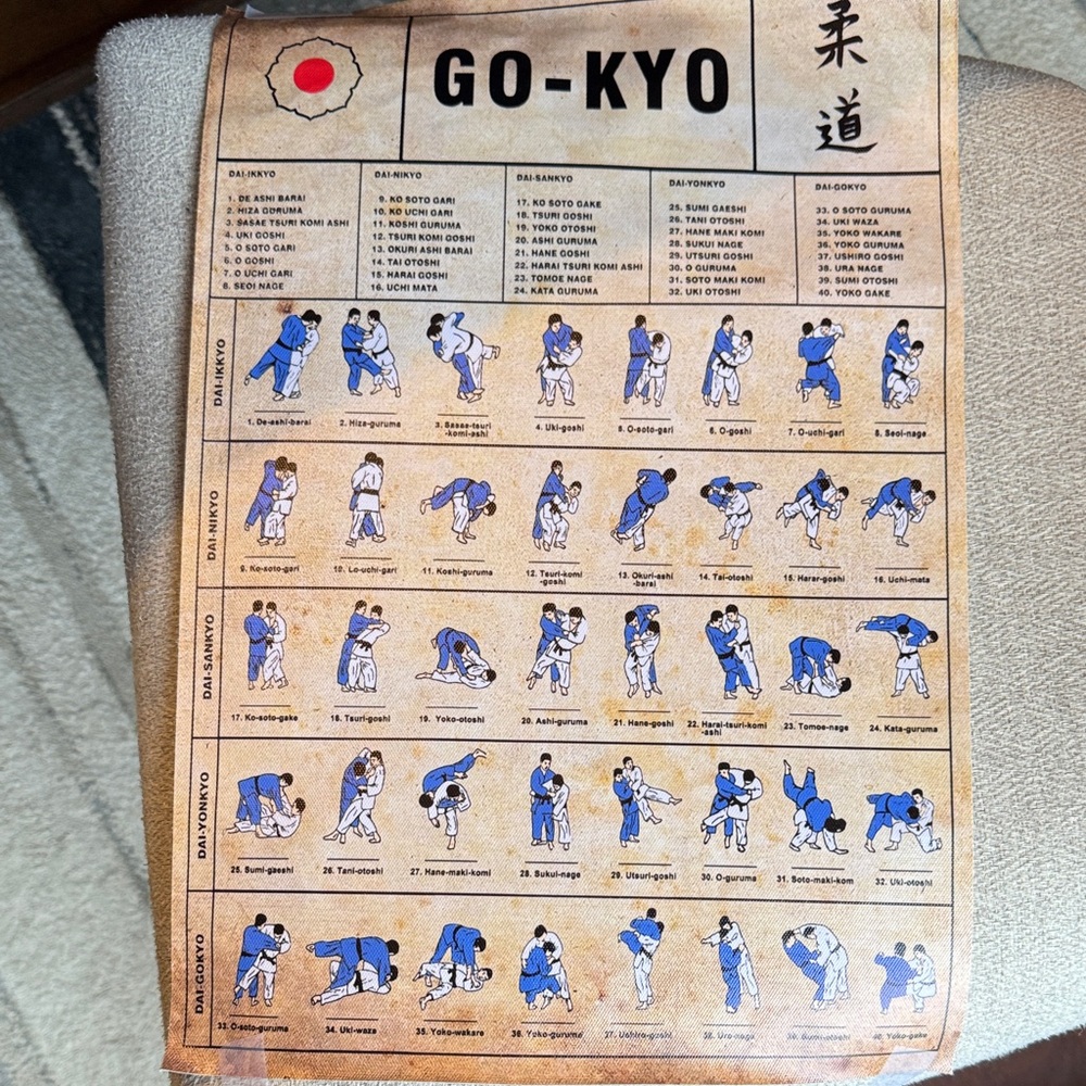 Judo Technique Chart Poster NWOT